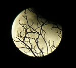 DSCN8819x.jpg