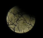 DSCN8821x.jpg