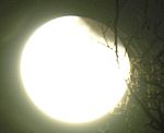 DSCN8827x.jpg