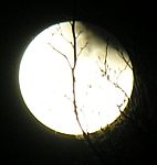 DSCN8831x.jpg