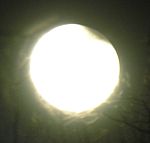 DSCN8840x.jpg