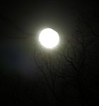 DSCN8841_607.jpg
