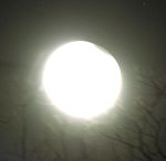 DSCN8841x.jpg