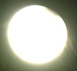 DSCN8843x.jpg