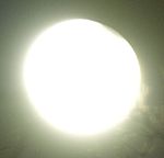 DSCN8844x.jpg