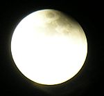 DSCN8847x.jpg
