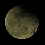 DSCN8851x.jpg