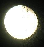 DSCN8854x.jpg