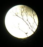 DSCN8855x.jpg