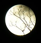 DSCN8856x.jpg