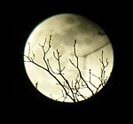 DSCN8857x.jpg