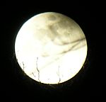 DSCN8862x.jpg