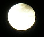 DSCN8863x.jpg