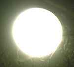 DSCN8864x.jpg