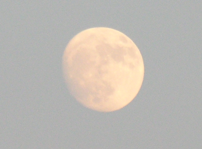 DSCN7020x.jpg