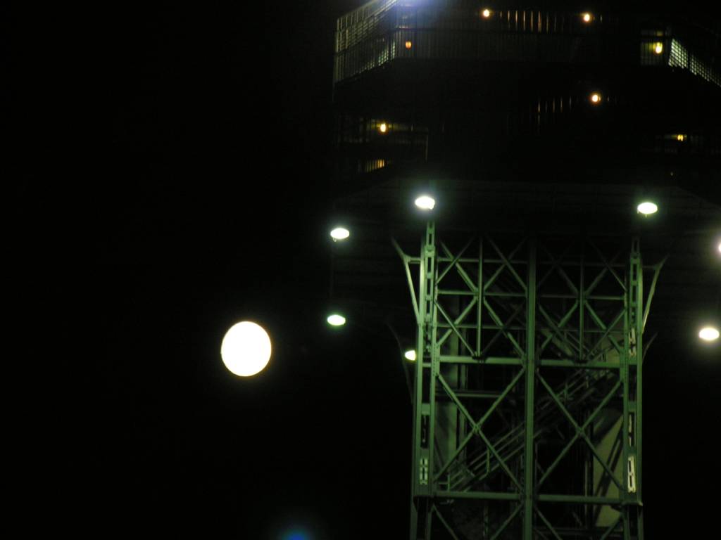 DSCN7225.jpg