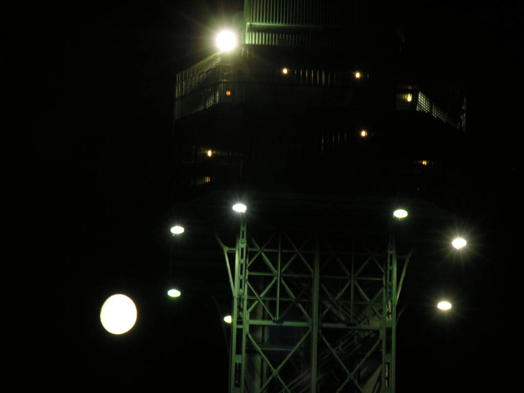 DSCN7227.jpg