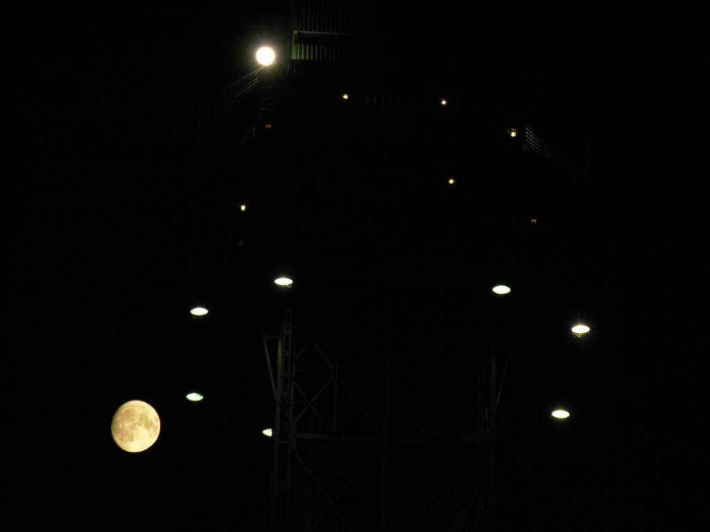 DSCN7230.jpg