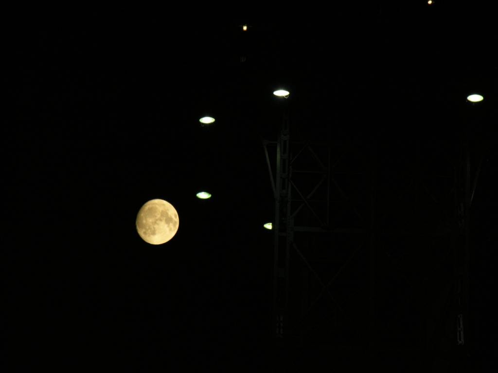 DSCN7233.jpg