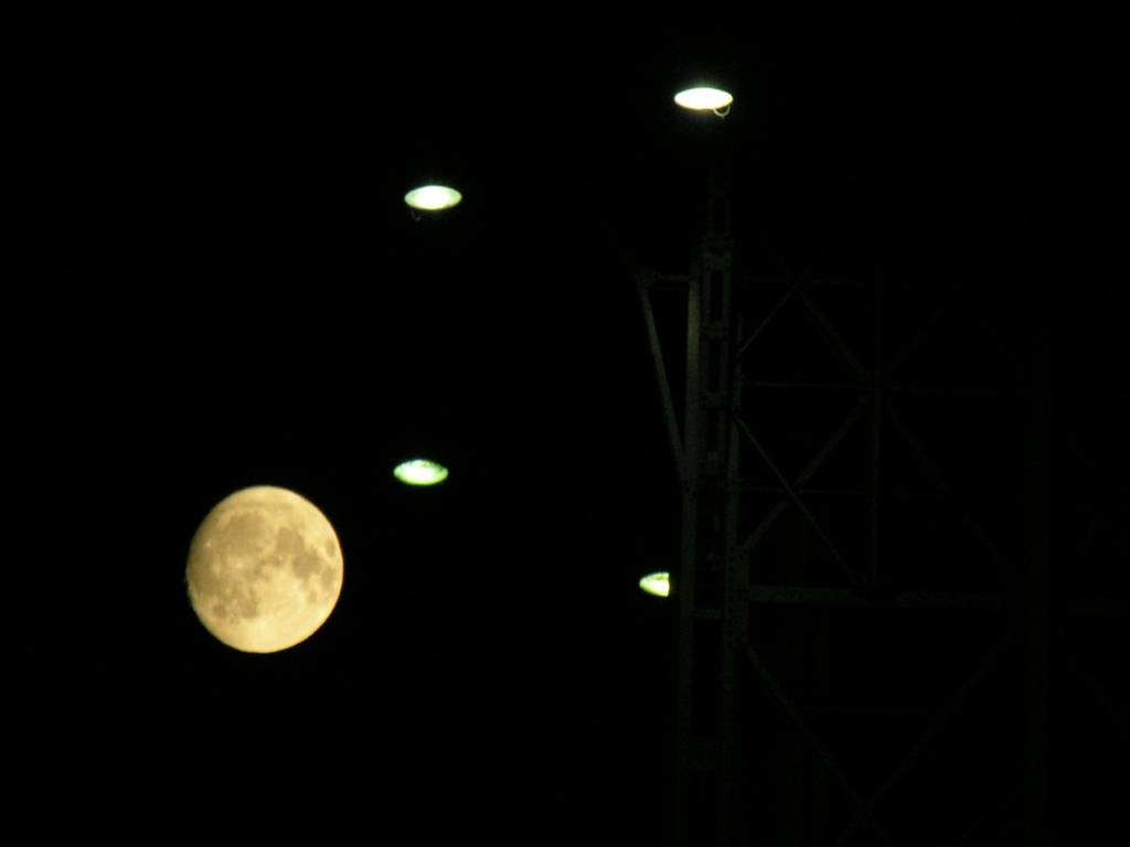 DSCN7234.jpg
