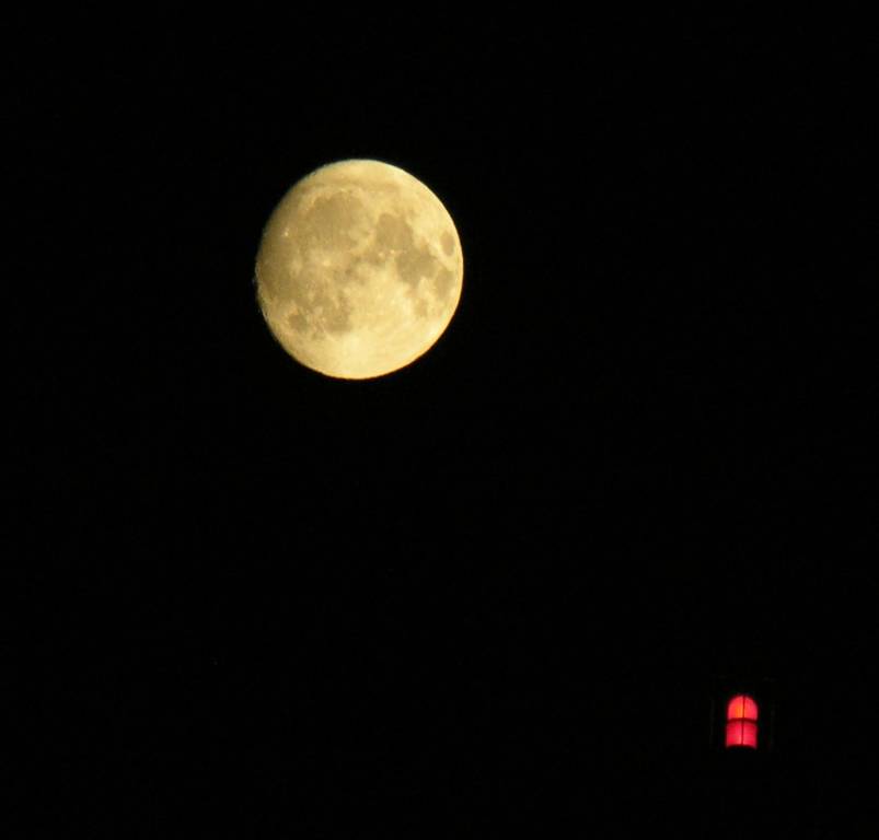 DSCN7237.jpg