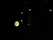 DSCN7233.jpg