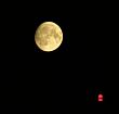 DSCN7237.jpg